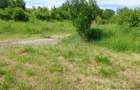 Manastur, Groapa Mosului, teren 1464 mp, intravilan, PUD + AC in lucru - 2