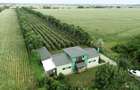 Vila + Afacere 15.000mp Clinceni - 3
