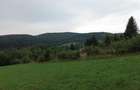 TEREN PREMIUM 5.023 MP ÎN VORONEȚ | BUCOVINA | ZONA MĂNĂSTIR - 22