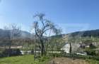 Casă de vânzare, cu 8 camere, 310 mp, cu teren de 1532 mp, zona Frasin - 11