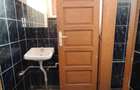 Imobil comercial (Ocna de Sus, jud. Harghita) - 10