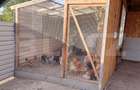 Casa cu 2 corpuri si anexe, 49 mp, zona Boldut
