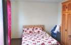 Casa P+1E zona Starzii Iasului -6 ari teren mobilata 219500eur neg - 10