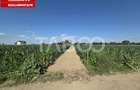 Teren intravilan 2000 mp si extravilan 1150 mp de vanzare in Vad - 1