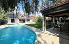 Vila de lux, stil contemporan -  IANCU NICOLAE - 2