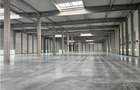 Spatii Industriale - 9500 mp - Logistica - Productie - Depozitare - Distributie - 4