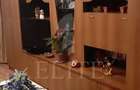 Apartament 2 camere în zona STRAZII GRIGORE ALEXANDRESCU - 2