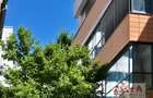 Inchiriere birou zona Universitate, suprafata 258-516 mp, Comision 0% - 1