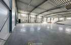 Hala de inchiriat, Arad Zona Industriala Sud- 871 mp - 3