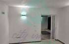 Vila birouri 375 mp, zona Pache Protopopescu - Popa Nan - 23