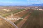 Teren extravilan arabil 19239mp Vulcan spre Codlea - 2