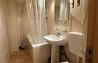 Apartament 2 camere Decebal_Piata Alba Iulia - 12