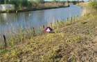 Teren 5600 mp Snagov Lac - 2