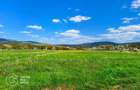 Teren agricol extravilan 250,47 ha, Șiștarovăț, județul Arad - 1