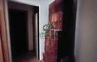 APARTAMENT 3 CAMERE/ VOINEASA - 9