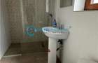 Royal Imobiliare-Inchiriere Casa Strejnicu - 11