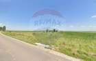Teren extravilan 2 parcele de 9.750 mp - Satul Nou, comuna Hălchiu - 2