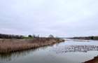 Casuta de vanzare cu ponton pe lacul Snagov - 13