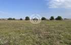 TEREN INTRAVILAN 4900 MP | 56 ML FRONT | SIBIU – ZONA TINERETULUI - 3
