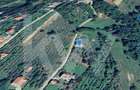 Teren Intravilan 977 mp de Vânzare în Cisnădioara – Locație de Poveste - 10