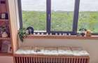 Apartament cu vedere panoramică la Parcul Tineretului - 7