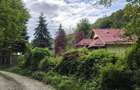 Teren de vanzare 15.000 mp in Telega - 3