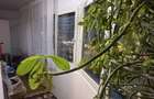 Ap 3 cam 90 mp -cu balcon - et 1+loc parcare - 13