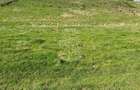 Teren 3300 mp-investitie, case de vacanta, agricultura-Valea Sigmirului - 3