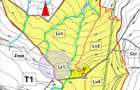 Teren in Padureni - Chinteni, 5800 mp, intravilan, Lv1 - viitoare constructii - 2