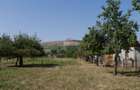 Mai mult decât o casă: 2.481 mp de liniște și libertate în Benic - 13