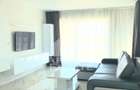 Penthouse Malul Muresului - 9