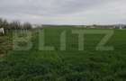 Teren 8600 mp în Podgoria - 5