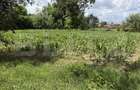 Teren intravilan de vanzare, 3656 mp - Aghires - 2