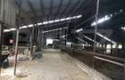 De vanzare/schimb - ferma ,15.000 mp, zona Mărtinești - 1