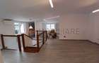 Loft spatios la Cismigiu - 1