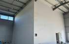 Hala Clasa A  600 mp Drum intre Tarlale - 3