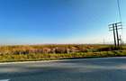 Vanzare teren 10.000mp Calea Surii Mici, direct de la proprietar! - 7