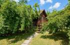 Casa individuala pentru locuit sau activitati comerciale/birou | Braytim - 29