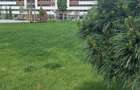 Apartament 1 camera Etaj 1 Comision 0% - 15