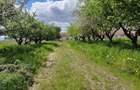 Teren parcelabil, 4,1 Ha, Brașov - Bod. Negociabil! - 4