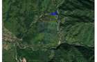 Teren 6700 mp, Apuseni, Pietroasa, Valea Aleului, Bihor, De Vânzare - 3