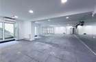 Banu Manta | Piata Victoriei | 230mp | open space - 2