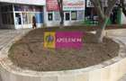 Inchiriem spatiu comercial Alexandria cu 7 eur/ mp/luna - 5