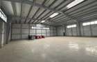 Vanzare depozit/hala/spatiu industrial Pantelimon - Centura - 11