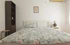 Inchiriere Apartament 2 camere Gorjului - 12