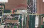Teren 5.000mp Balotesti cu autorizatie hala - 3