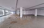 Spatiu Comercial - Marasti - Vitrina la Strada - 441 mp - 8