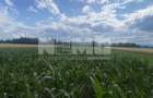 Teren Intravilan | 20 Ari | Frătăuții Noi - 2