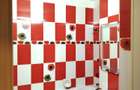 Chirie apartament 2 camere zona Bulevard mobilat-utilat 300eur/luna - 9