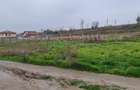 Teren Intravilan 5.000 mp – Perfect pentru Parc Fotovoltaic, Hale sau Lotizare - 5